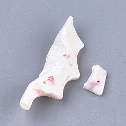 Sea Shell Beads&nbsp;SSHEL-T008-18
