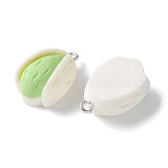 Opaque Resin Pendants&nbsp;RESI-Z033-01P