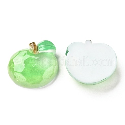 Resin Decoden Cabochons&nbsp;CRES-J046-03H