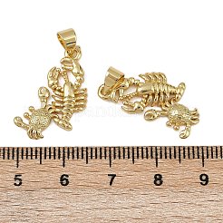Brass Pendants&nbsp;KK-I358-057G-02