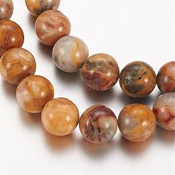 Natural Crazy Lace Agate Round Bead Strands&nbsp;G-M272-03-8mm