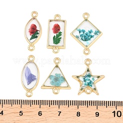 Alloy Epoxy Resin Connector Charms&nbsp;FIND-Z114-02G