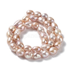 Natural Cultured Freshwater Pearl Beads Strands&nbsp;PEAR-Z002-32