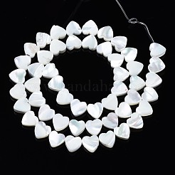 Natural Trochid Shell/Trochus Shell Beads Strands&nbsp;SSHEL-N034-98B-B01
