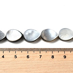 Natural Black Lip Shell Beads Strands&nbsp;BSHE-D300-04B