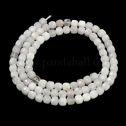 Natural Rainbow Moonstone Beads Strands&nbsp;GG-CBAB953-A02-4mm