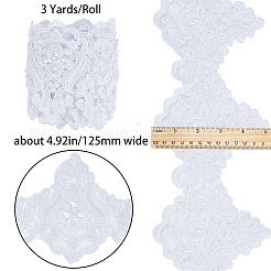 Polyester Lace Trim&nbsp;OCOR-WH0070-43B