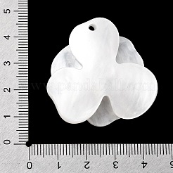 Valentine's Day Cellulose Acetate (Resin) Pendants&nbsp;LS-FIND-A064-01