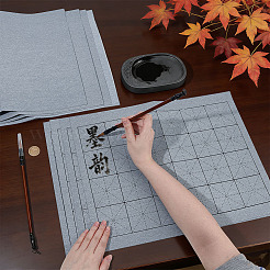 8Pcs 2 Styles Reusable Non-woven Fabrics Water-Writing Cloth&nbsp;AJEW-DR0002-93