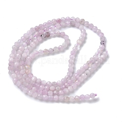 Natural Kunzite/Spodumene Beads Strands&nbsp;G-L651-C12-2mm-02