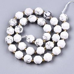 Natural Howlite Beads Strands&nbsp;G-T131-81B