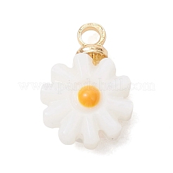 4Pcs 4 Styles Natural Freshwater Shell Enamel Flower Charms with Brass Bails&nbsp;PALLOY-JF04895
