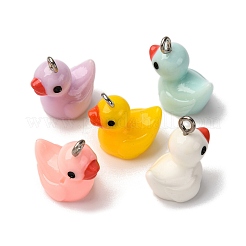 Opaque Resin Pendants&nbsp;RESI-A046-03