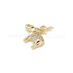 Brass Micro Pave Cubic Zirconia Charms&nbsp;ZIRC-I356-15G-06