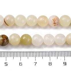 Natural Green Banded Calcite(Afghan Jade) Beads Strands&nbsp;G-B130-8mm-01