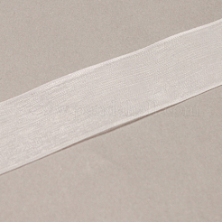 Nylon Organza Ribbon&nbsp;ORIB-R018-20mm-001