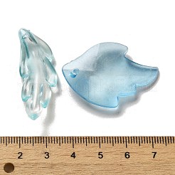Transparent Frosted Acrylic Beads&nbsp;X-OACR-H039-06
