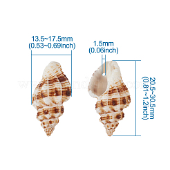 Spiral Shell Pendants&nbsp;SSHEL-TA0001-02