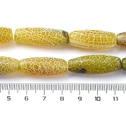 Natural Weathered Agate Beads Strands&nbsp;G-P570-C04-01