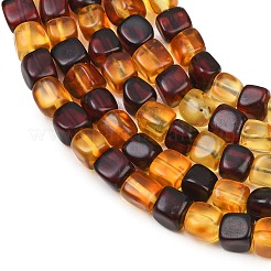 Two Tone Natural Amber Beads Strands&nbsp;G-K426-A03-04