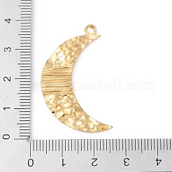 Ion Plating(IP) 304 Stainless Steel Pendants&nbsp;STAS-S136-06G-02