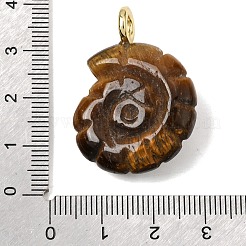 Natural Tiger Eye Carved Pendants&nbsp;G-C282-01O