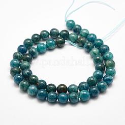 Natural Apatite Beads Strands&nbsp;G-F475-06-8mm