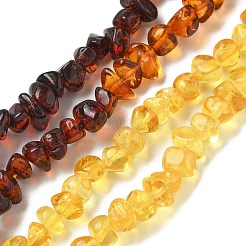 Gradient Color Natural Amber Beads Strands&nbsp;G-K387-F01-01