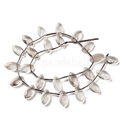 Natural Smoky Quartz Beads Strands&nbsp;G-P607-A10-01