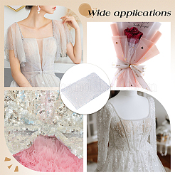 Paillette Polyester Mesh Fabric&nbsp;DIY-WH0308-875B