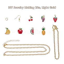 DIY Jewelry Making Kits&nbsp;DIY-YW0003-13