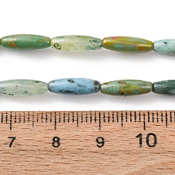 Handmade Lampwork Beads&nbsp;X-LAMP-B051-02A