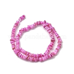 Natural Freshwater Shell Beads&nbsp;SHEL-B003-01F