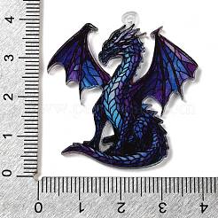 Transparent Printed Acrylic Pendants&nbsp;OACR-E043-03B