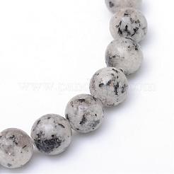 Natural Sesame Jasper/Kiwi Jasper Bead Strands&nbsp;G-R345-8mm-11
