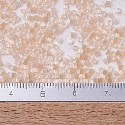 MIYUKI Delica Beads&nbsp;SEED-X0054-DB0821