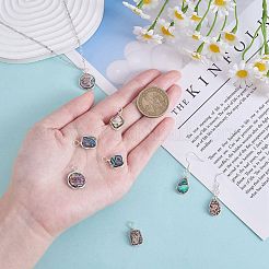 8Pcs 4 Styles Natural Abalone Shell/Paua Shell Pendants&nbsp;FIND-SZ0003-08