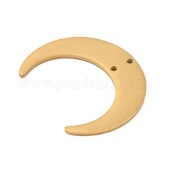 Ion Plating(IP) 304 Stainless Steel Connector Charms&nbsp;STAS-B056-27G