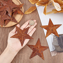 Rust Iron Big Pendants&nbsp;IFIN-WH0065-16C