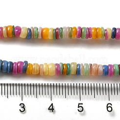 Natural Freshwater Shell Beads Strands&nbsp;SHEL-H003-01