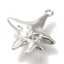 Brass Pendants&nbsp;KK-K389-031P