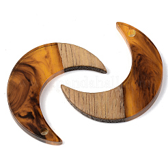 Resin & Walnut Wood Pendants&nbsp;RESI-S389-056B-A01