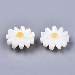 Natural White Shell Mother of Pearl Shell Beads&nbsp;SHEL-S266-13B