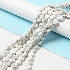 Natural Howlite Beads Strands&nbsp;G-B022-09B