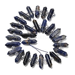 Natural Sodalite Double Terminated Point Beads Strands&nbsp;G-H069-B18-01