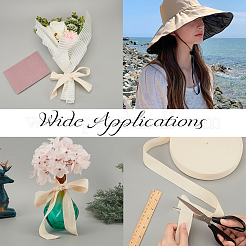 Cotton Cotton Twill Tape Ribbons&nbsp;OCOR-WH0057-30G-03