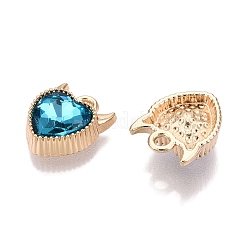 Rack Plating Alloy Pendants&nbsp;FIND-N005-20G