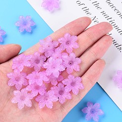 Transparent Acrylic Beads&nbsp;MACR-S373-117-D04