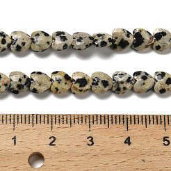 Natural Dalmatian Jasper Beads Strands&nbsp;G-P575-C03-6mm