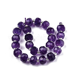 Natural Amethyst Beads Strands&nbsp;G-N327-08C